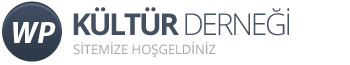 Saraydüzü